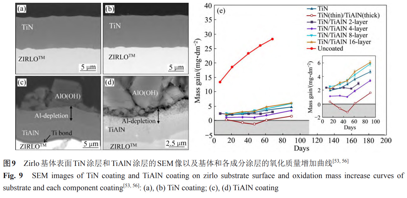 1734081847490041.jpg 9.jpg