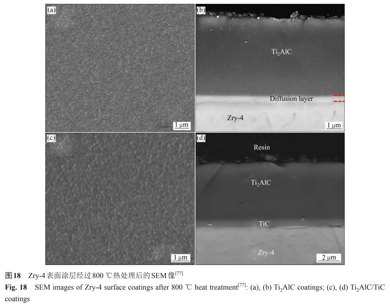 1734081960235859.jpg 18.jpg