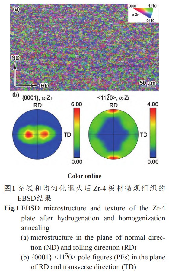 1734144434148312.jpg 1.jpg